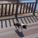 물결속으로 이미지