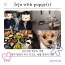 제주안방갈비 - 제주시 오남로 7-13 | 강아지랑 제주도 여행 (1) 제주 댕댕이 파크 리조트, 애월 흑돼지 대담