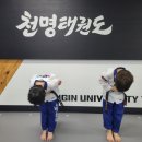천명태권도장 이미지