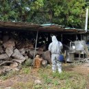 합동농장 이미지