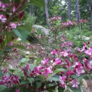 포레스트(4rest) 이미지