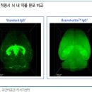 유한회사 다온바이오텍 | [에이비엘바이오] 바이오 플랫폼 기업