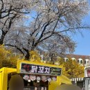 평택대학교 농구장