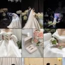 [아이폰스냅계약] 데이라이크투데이 - 아이폰 스냅계약 후기! (내돈내산)