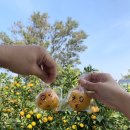 만선농장 이미지