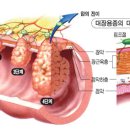 이대장 구이 이미지