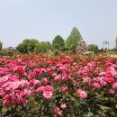 밀양현대주유소 / sk밀양주유소 이미지