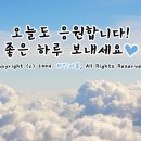 잘나가는호야