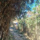 일원상사 이미지