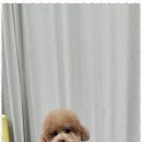 키티앤피부