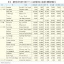 대일견인 이미지