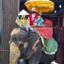 에이쉘인제주 이미지