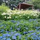 건강지키미 - 서구 | 건강지키미