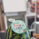 펌킴 이미지