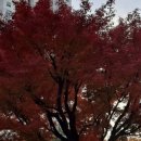 마인노래연습장 이미지