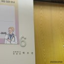 누누베베소아과의원 | 호산병원 백수진 원장님 9주차부터 진료 제왕절개 후기