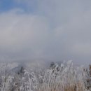 강호물산