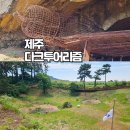 제주 셋알오름 일제 고사포진지 | 제주 역사 여행 알뜨르비행장 다크투어리즘 투어