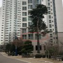 GS25반송점 Daum카페