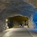 동굴 낙지와 쭈꾸미 이미지