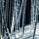 대나무골 이미지