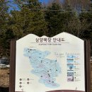강릉여행 2일차 삼양목장
