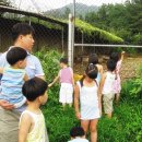 추억만들기민박 이미지