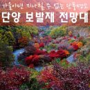 11뤌19일 리마 출사 晩秋 마법의 미로 보발재 &amp; 고운골 은빛 물결,사인암,구인사,소원을 말해봐 이미지