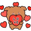 으뜸50안경 신당점 이미지