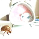 해냈다 이재명, 관세 협상 비하인드 트럼프 반응 대박 &#34;트럼프, 존경한다 말해&#34; (국힘 전당대회 난리났네 난리났어, 몸싸움에 물병투척 이미지