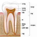 포유치과의원 네이버블로그