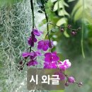 사랑은 시간에 새긴 서사시 / 곽구비 이미지