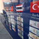 하도로와 이미지