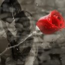 영화 Once OST - If You Want Me 이미지