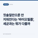 청학치과의원 | 칫솔질만으론 안 지워진다는 '바이오필름', 세균과는 뭐가 다를까