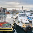 추자태양광발전소 이미지