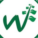 엠와이즈 이미지