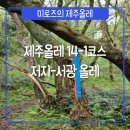 서광목장 | [제주올레#3] 제주도 올레길 14-1코스 저지-서광 올레 종합 후기 및 정보