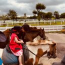 성읍환승정류장 | 5월초 연휴 국내여행 제주도 가족여행 말체험 성읍랜드