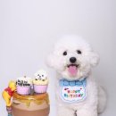 다정하고 맛있개 이미지