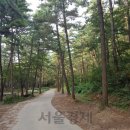 해송 서울경제