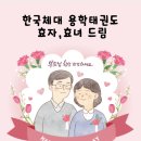 SK View 태권도 이미지