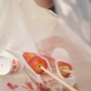 유영농장 | [논산 딸기따기 체험농장] 유영 농원 솔직 후기