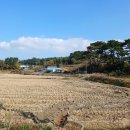 벌천포 선착장 이미지