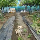 율현농장 이미지