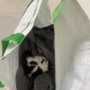 금광동물병원 이미지