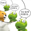 장일세탁 | 상실의 씨앗
