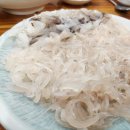 송라로 | 구룡포산오징어회》 #광어·우럭·밀치·강도다리·모듬회·오징어튀김·물회·신천동·동구·송라로·횟집