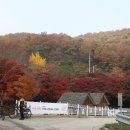 너릿재옛길 입구 Daum카페