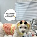 가평펜션 레릿고 이미지